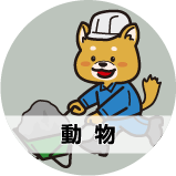 動物