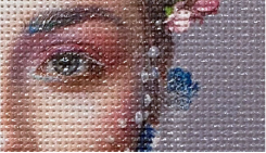 メッシュターポリン：アップ