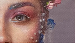 ターポリン2種：アップ