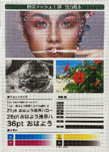 メッシュターポリン